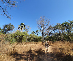 Photo de chasse au Nieri-Ko, Sénégal -  5